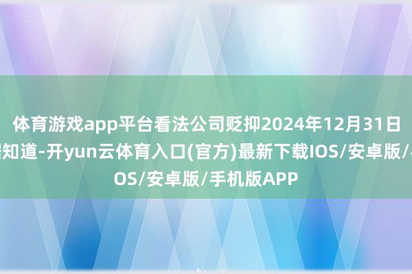 体育游戏app平台看法公司贬抑2024年12月31日的财务数据知道-开yun云体育入口(官方)最新下载IOS/安卓版/手机版APP